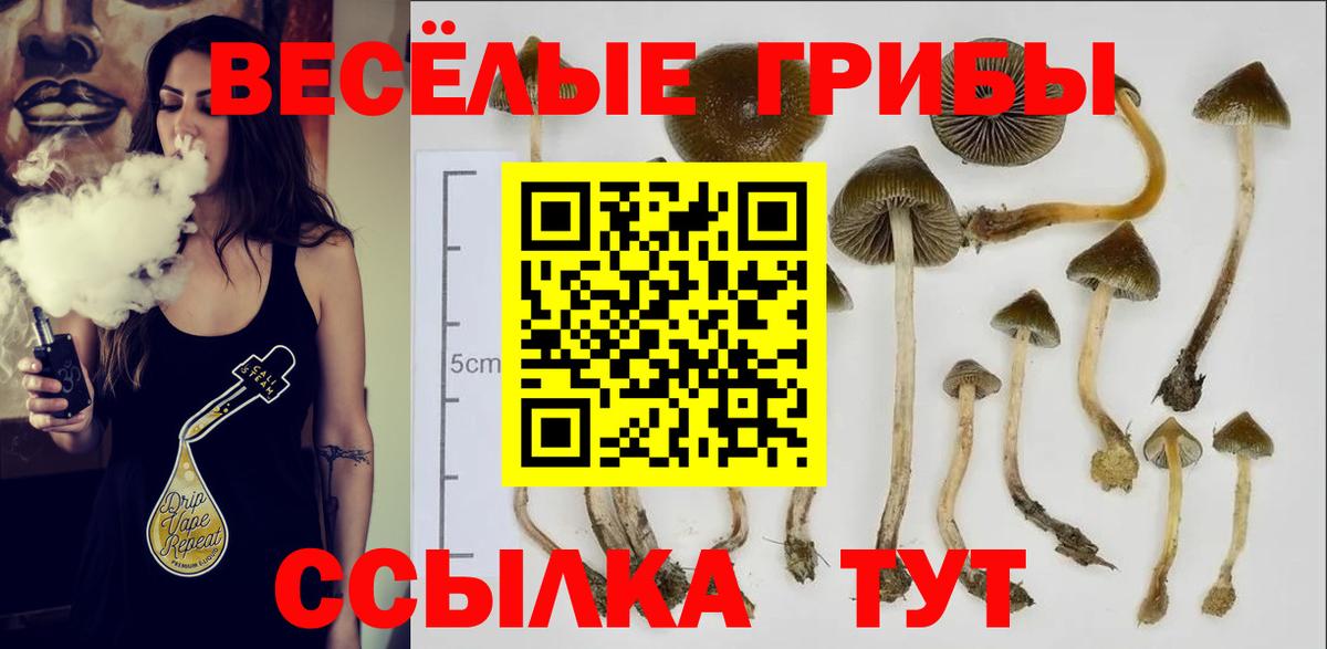 Реж  Псилоцибиновые грибы GOLDEN TEACHER  Вход с VPN 